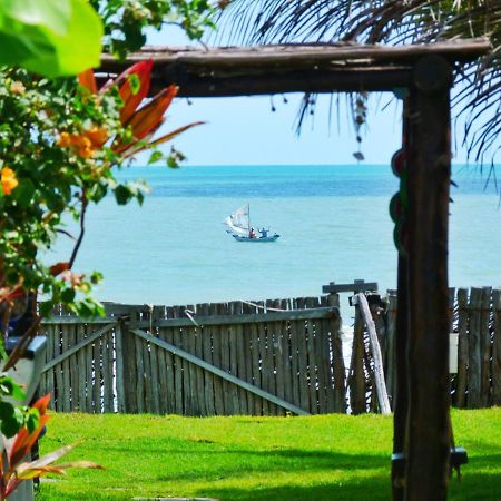 Pousada Casa Azul Do Piaui Luís Correia Eksteriør billede