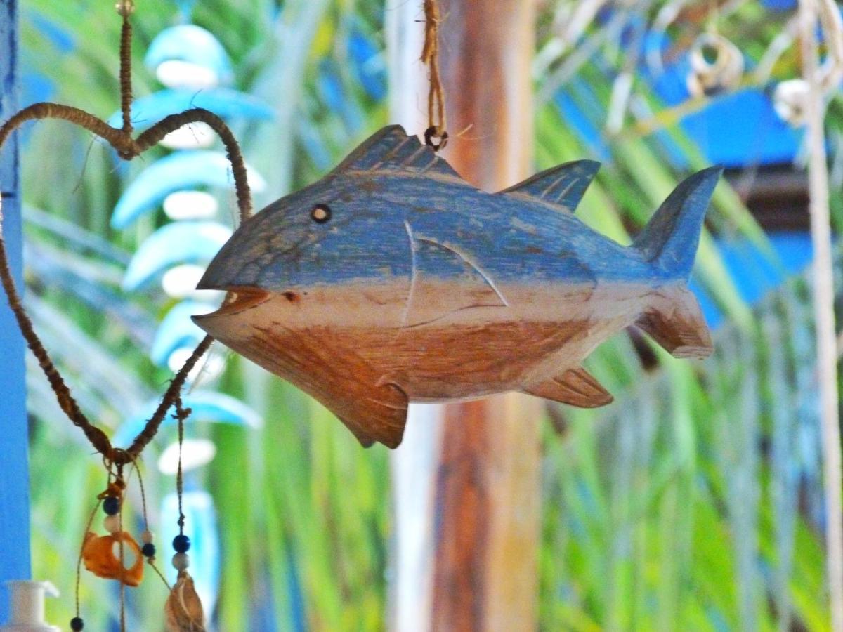 Pousada Casa Azul Do Piaui Luís Correia Eksteriør billede